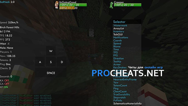 Чит SalHack 2b2t для Minecraft 1.12.2