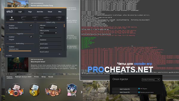 Инжектор Onion для CS:GO