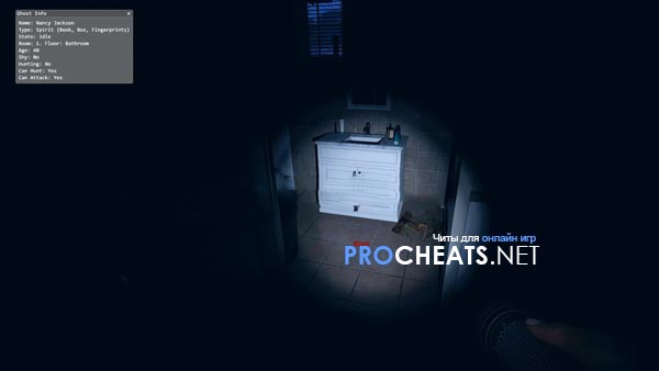 Чит Icetrix для Phasmophobia
